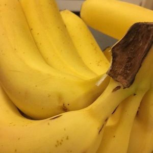 Meet your Posher, Callie